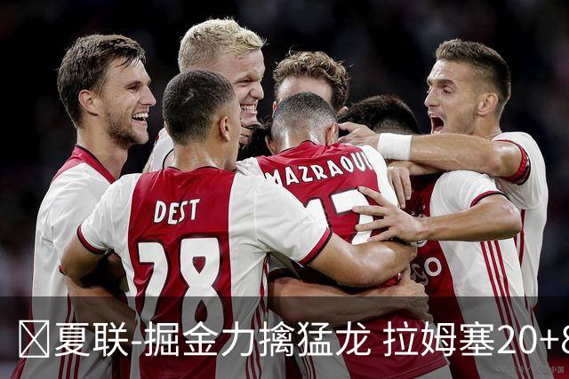 🏀夏联-掘金力擒猛龙 拉姆塞20+8 西尔斯17+6 伯内特15+9